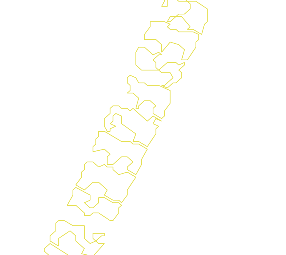Daksegment met contourlijnen en structuurweergave
