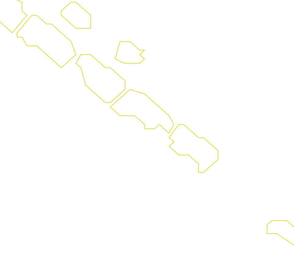Daksegment ingezoomd met contourlijnen en structuurweergave