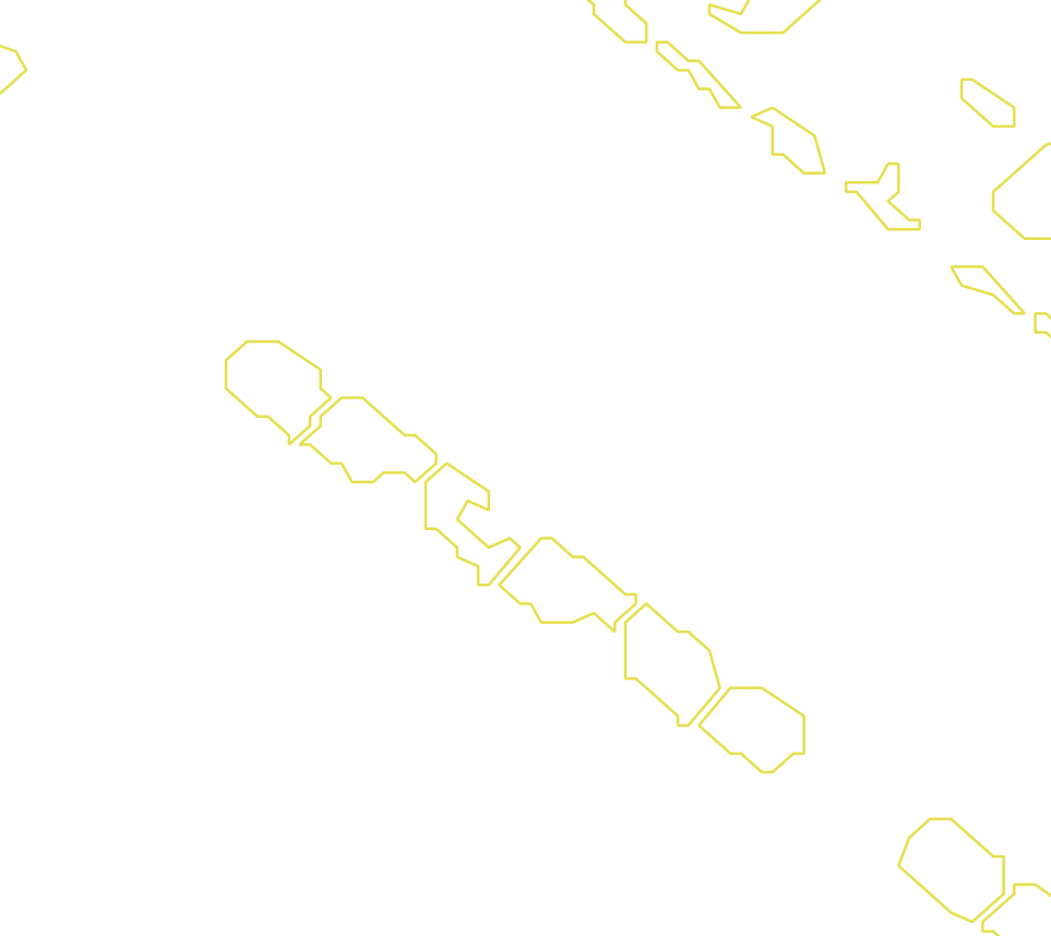Daksegment met contourlijnen en structuurweergave