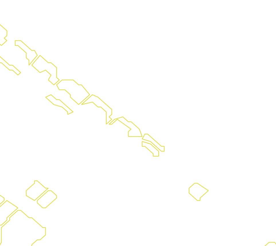 Daksegment met contourlijnen en structuurweergave