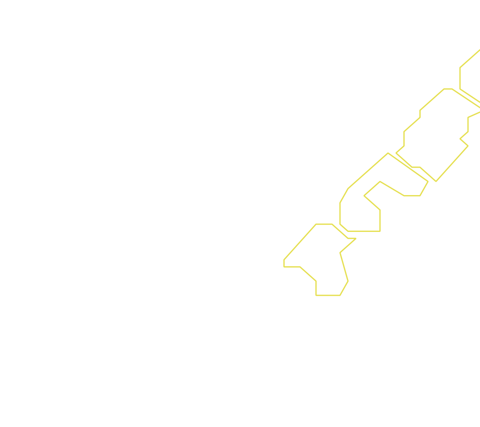 Daksegment ingezoomd met contourlijnen en structuurweergave