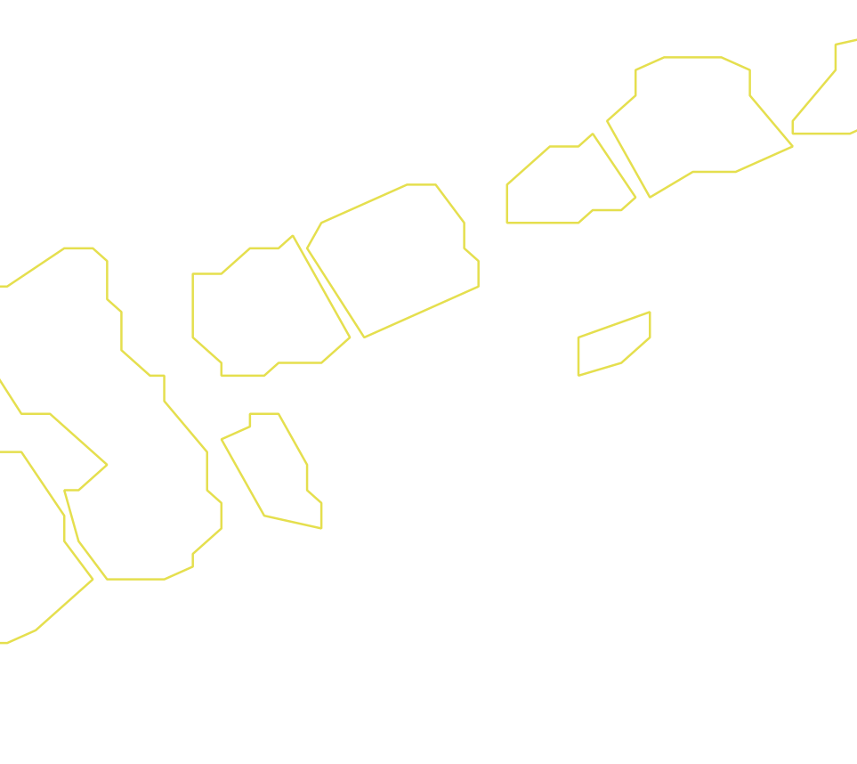 Daksegment ingezoomd met contourlijnen en structuurweergave