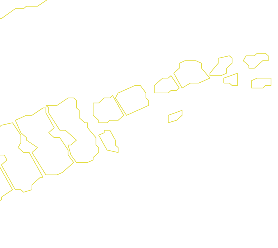 Daksegment met contourlijnen en structuurweergave