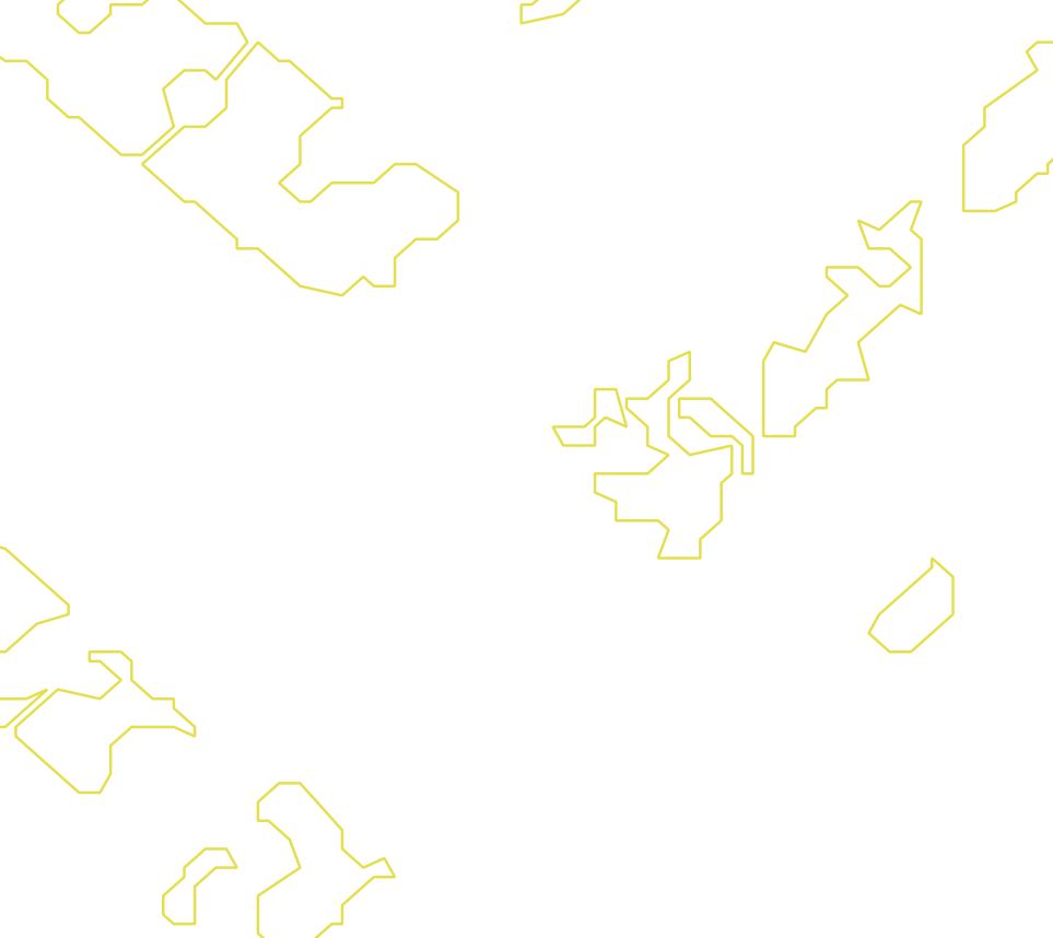 Daksegment met contourlijnen en structuurweergave