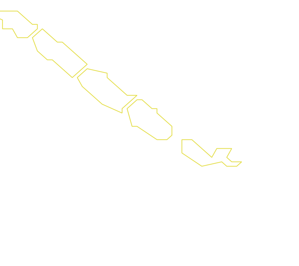 Daksegment ingezoomd met contourlijnen en structuurweergave