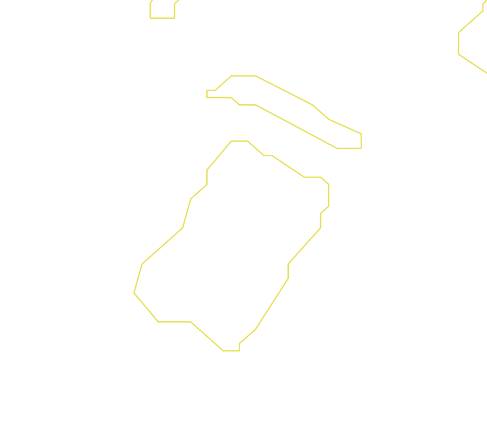 Daksegment ingezoomd met contourlijnen en structuurweergave