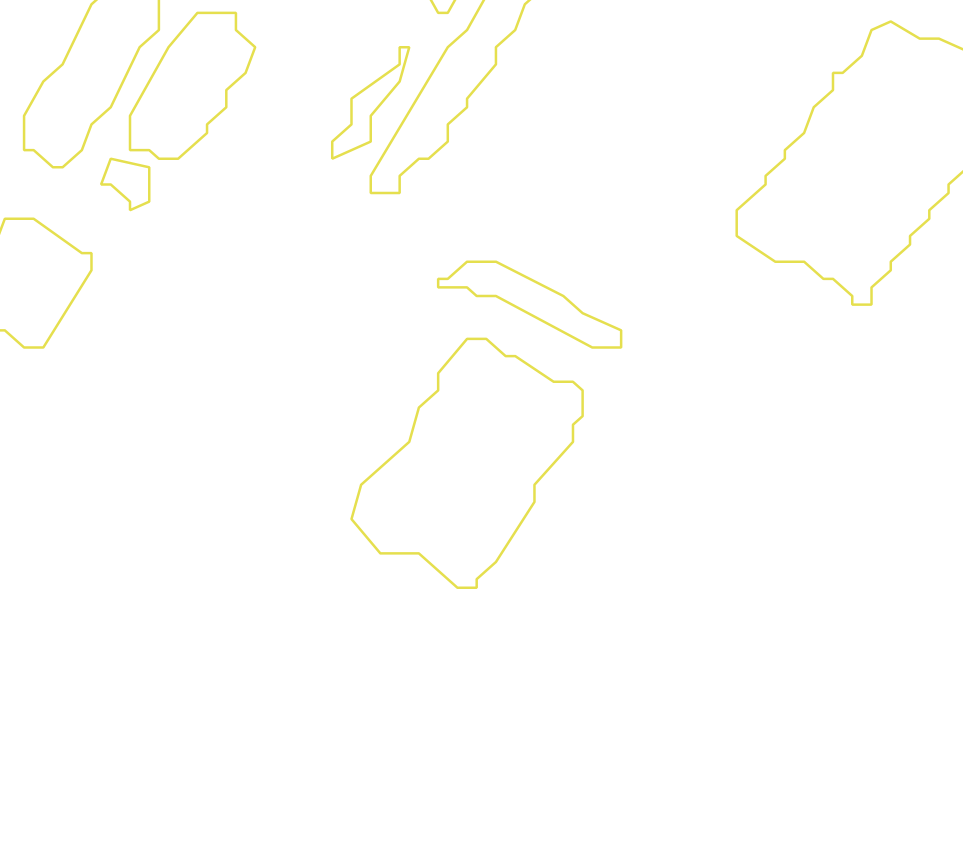 Daksegment met contourlijnen en structuurweergave
