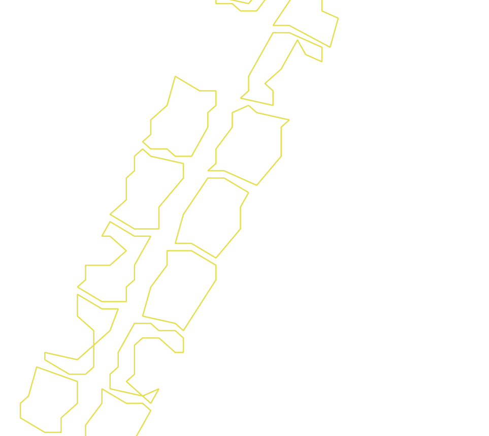 Daksegment ingezoomd met contourlijnen en structuurweergave