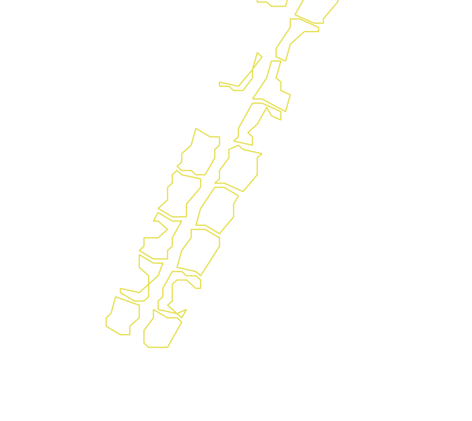 Daksegment met contourlijnen en structuurweergave