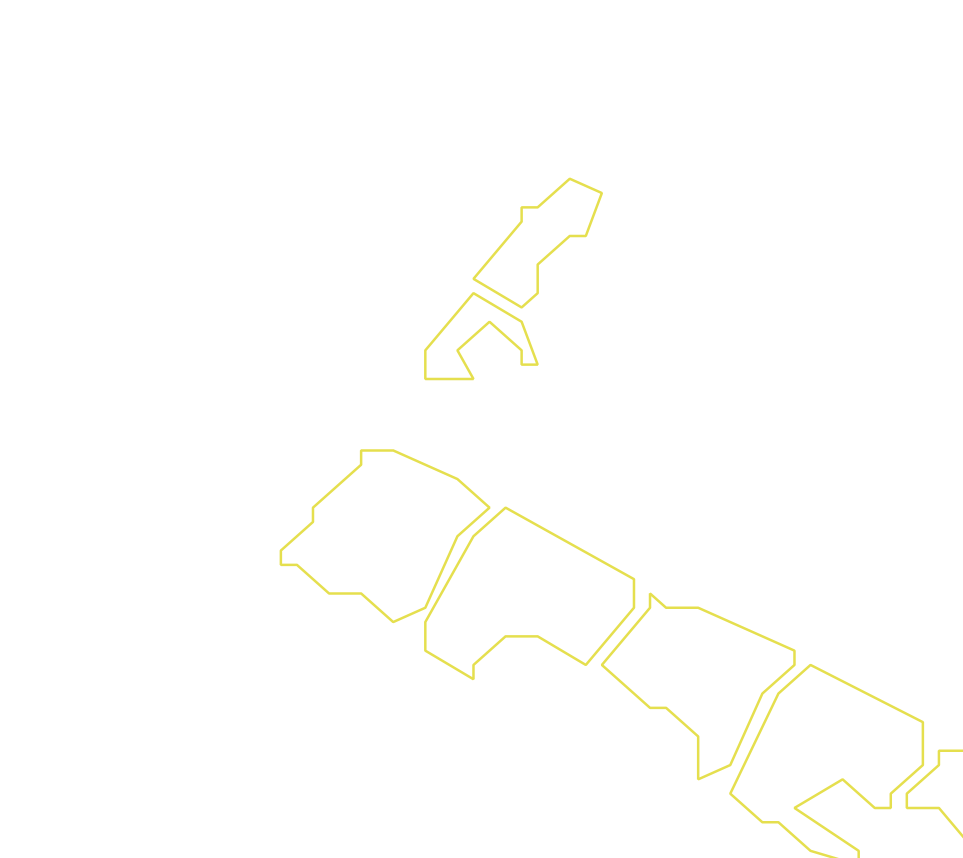 Daksegment ingezoomd met contourlijnen en structuurweergave