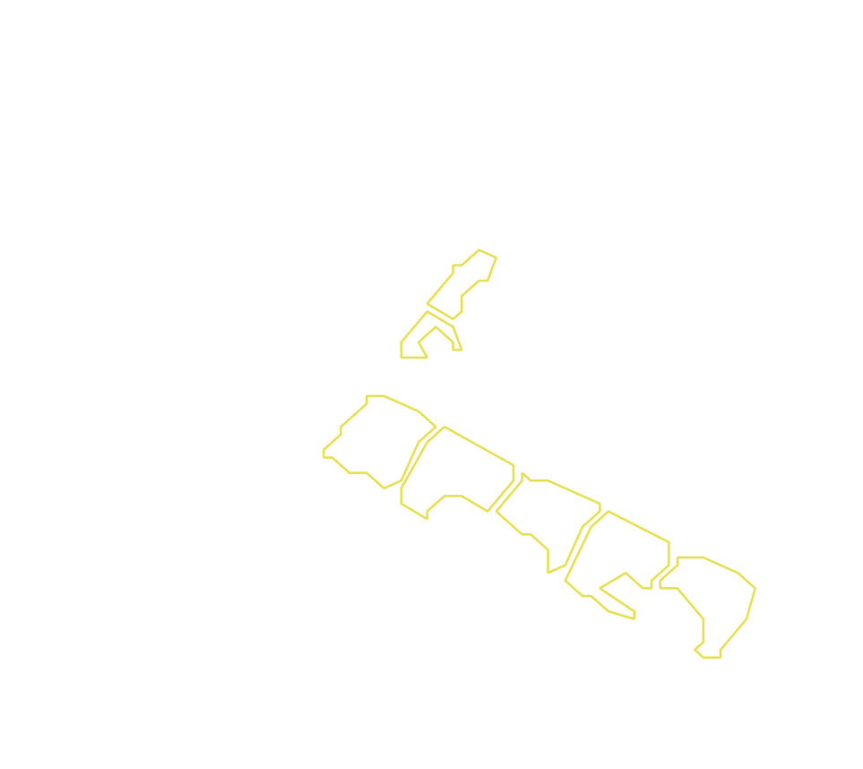 Daksegment met contourlijnen en structuurweergave