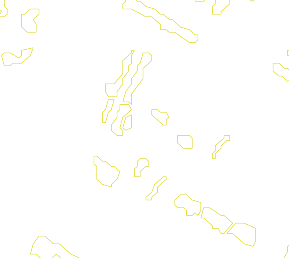 Daksegment met contourlijnen en structuurweergave