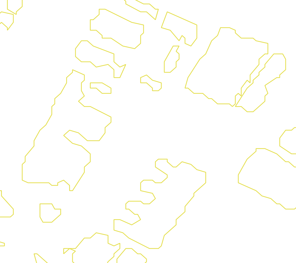 Daksegment met contourlijnen en structuurweergave