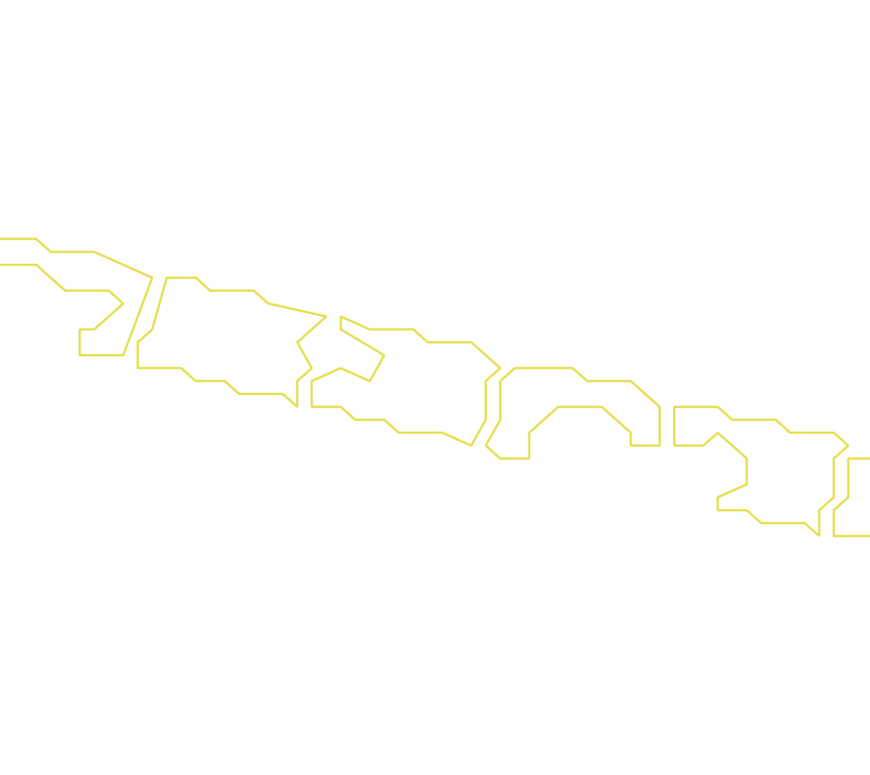 Daksegment ingezoomd met contourlijnen en structuurweergave
