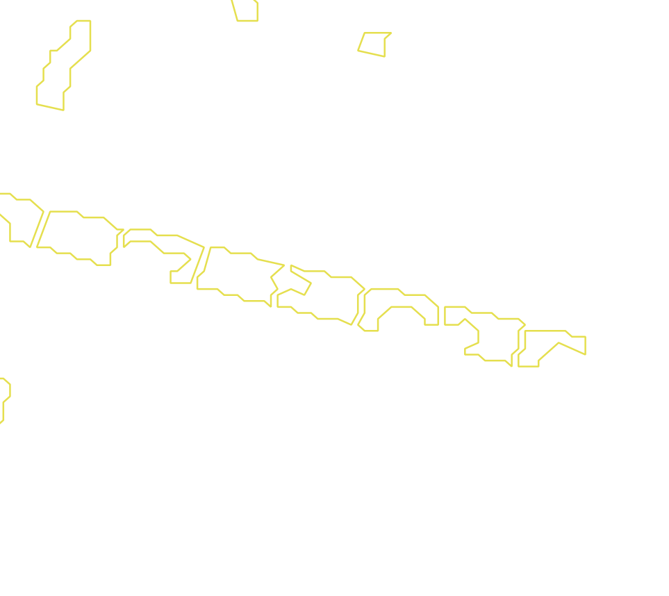 Daksegment met contourlijnen en structuurweergave