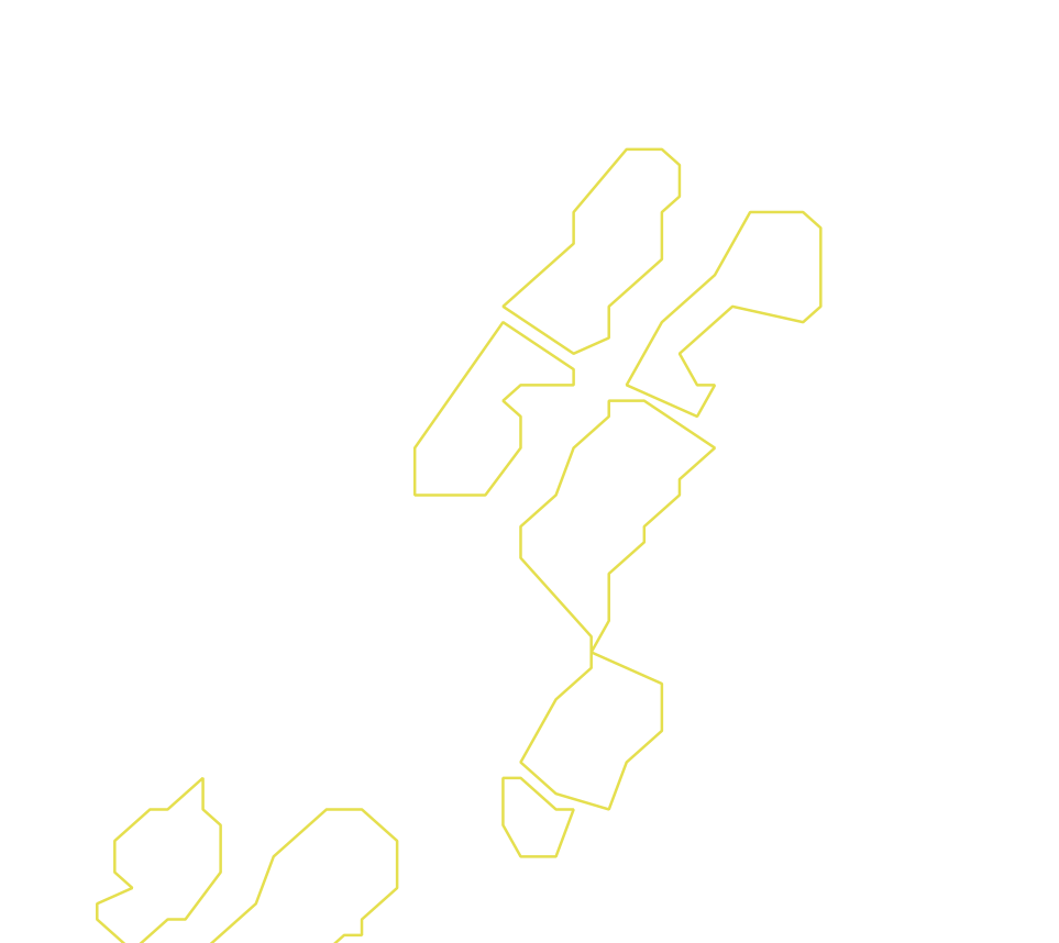 Daksegment ingezoomd met contourlijnen en structuurweergave