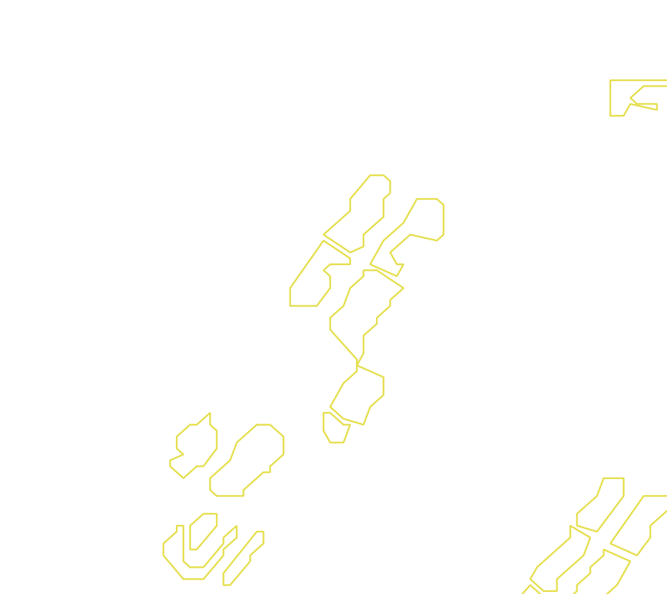 Daksegment met contourlijnen en structuurweergave