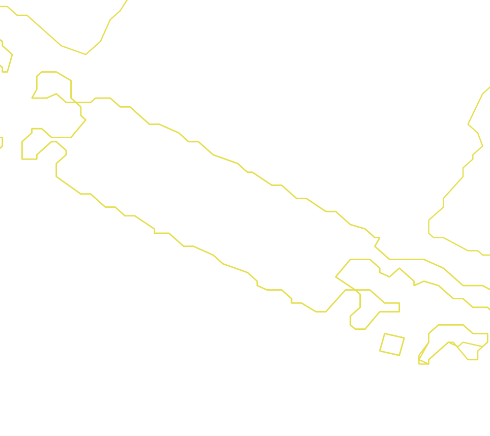 Daksegment met contourlijnen en structuurweergave