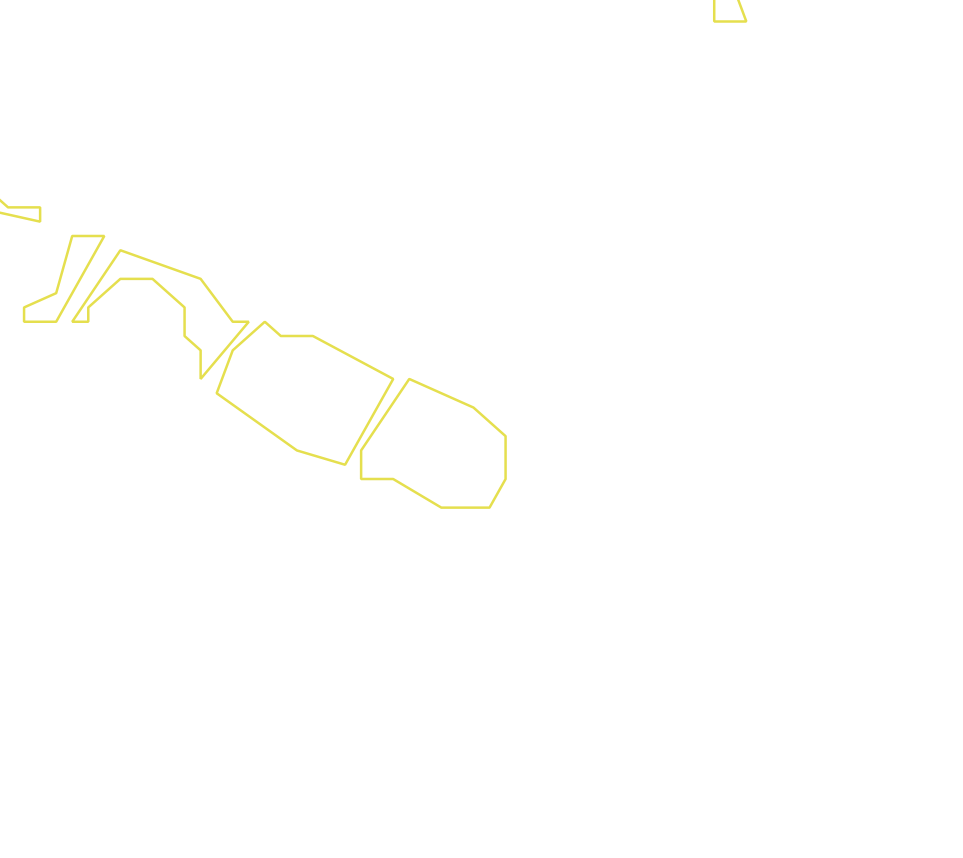 Daksegment ingezoomd met contourlijnen en structuurweergave