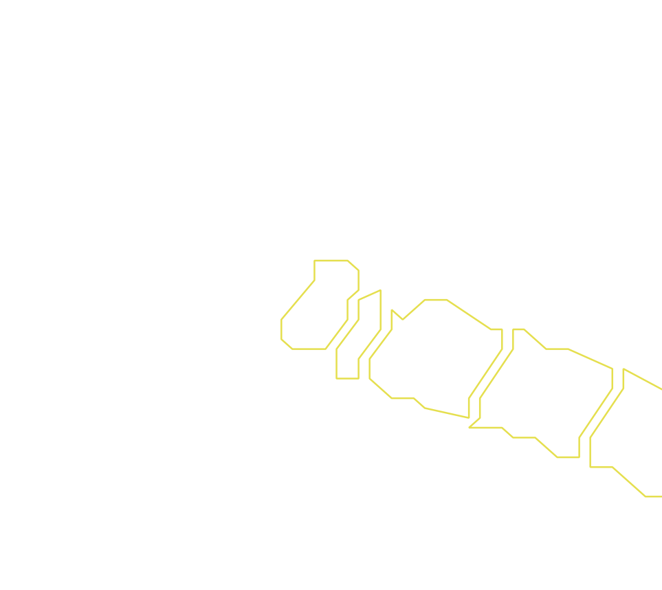 Daksegment ingezoomd met contourlijnen en structuurweergave