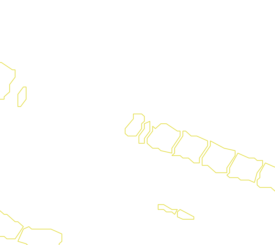 Daksegment met contourlijnen en structuurweergave