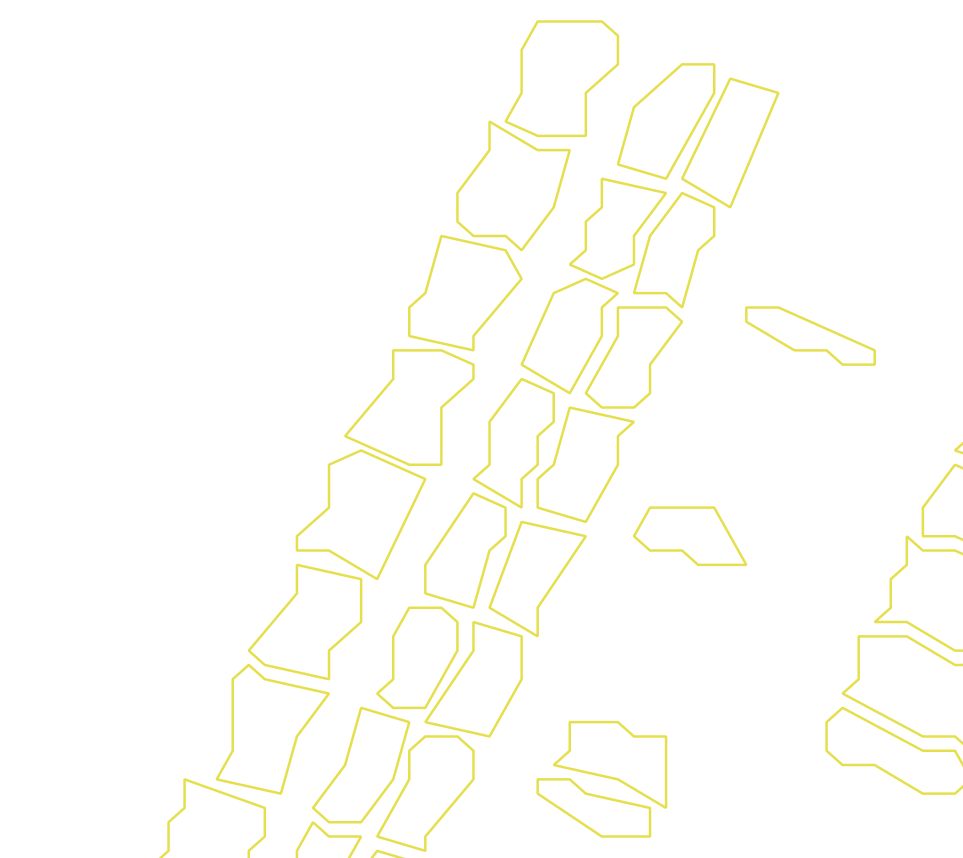 Daksegment ingezoomd met contourlijnen en structuurweergave