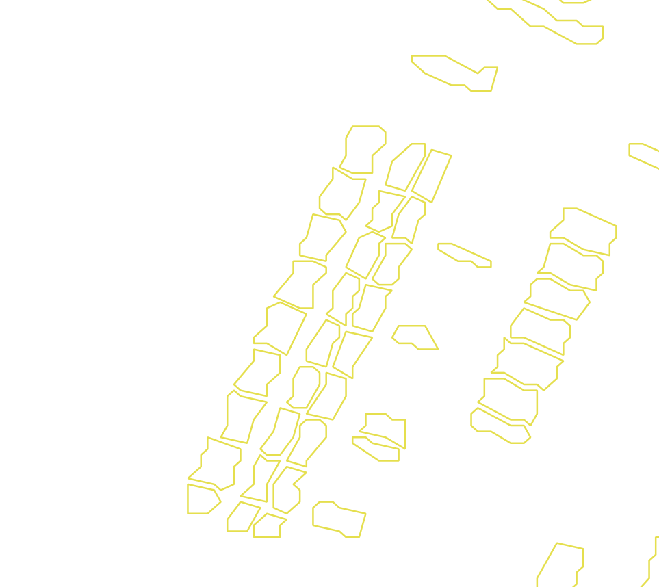 Daksegment met contourlijnen en structuurweergave