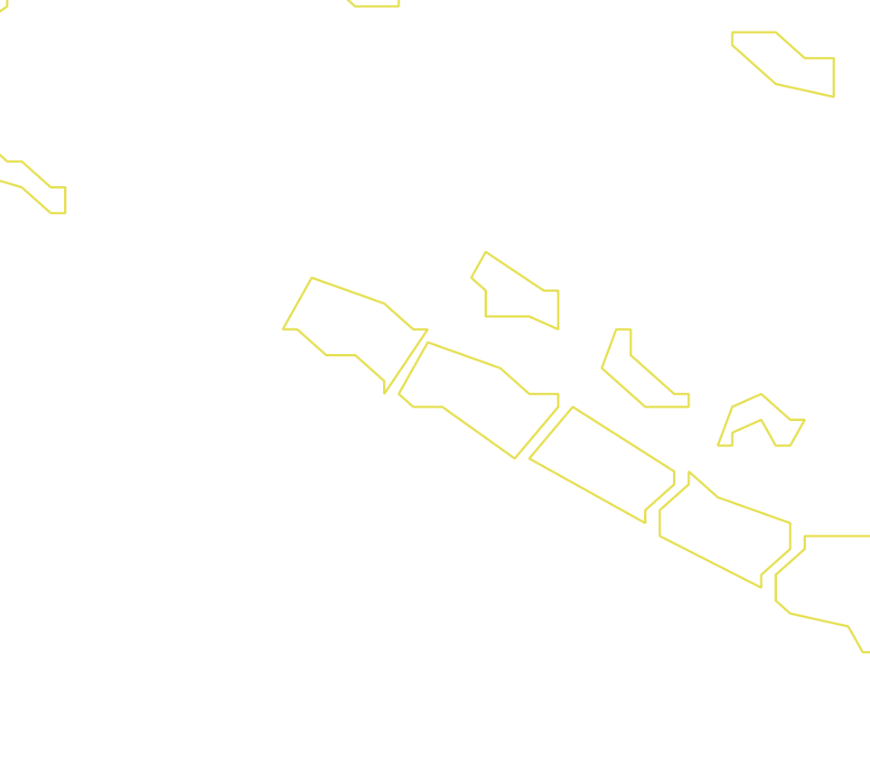 Daksegment ingezoomd met contourlijnen en structuurweergave
