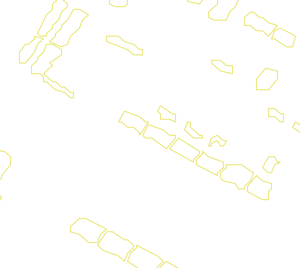 Daksegment met contourlijnen en structuurweergave