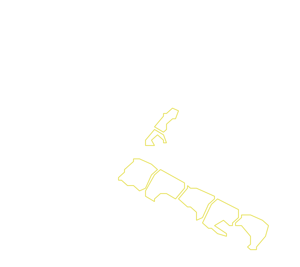 Daksegment met contourlijnen en structuurweergave