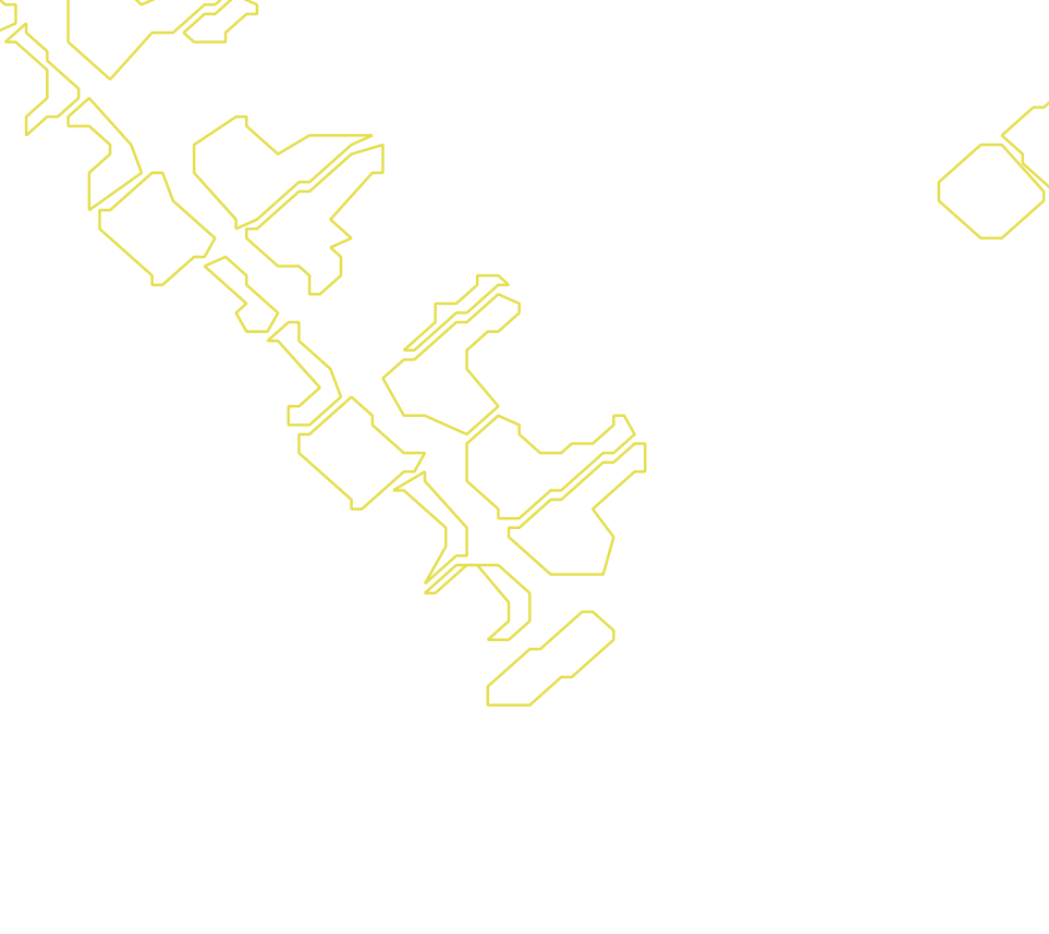 Daksegment met contourlijnen en structuurweergave