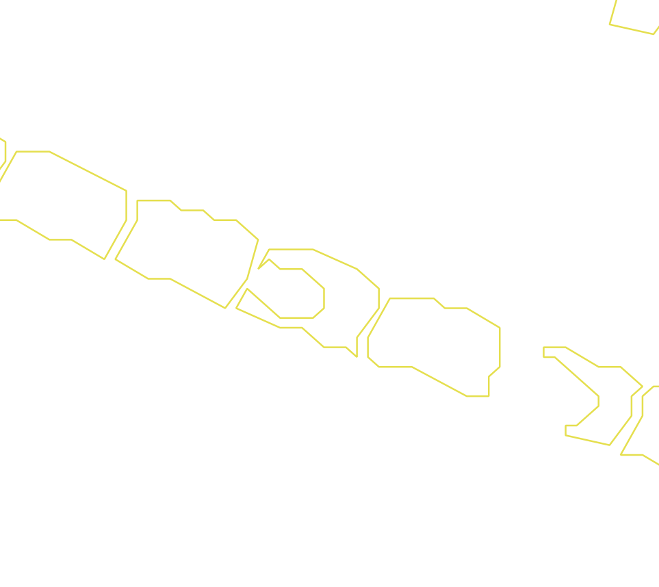 Daksegment ingezoomd met contourlijnen en structuurweergave