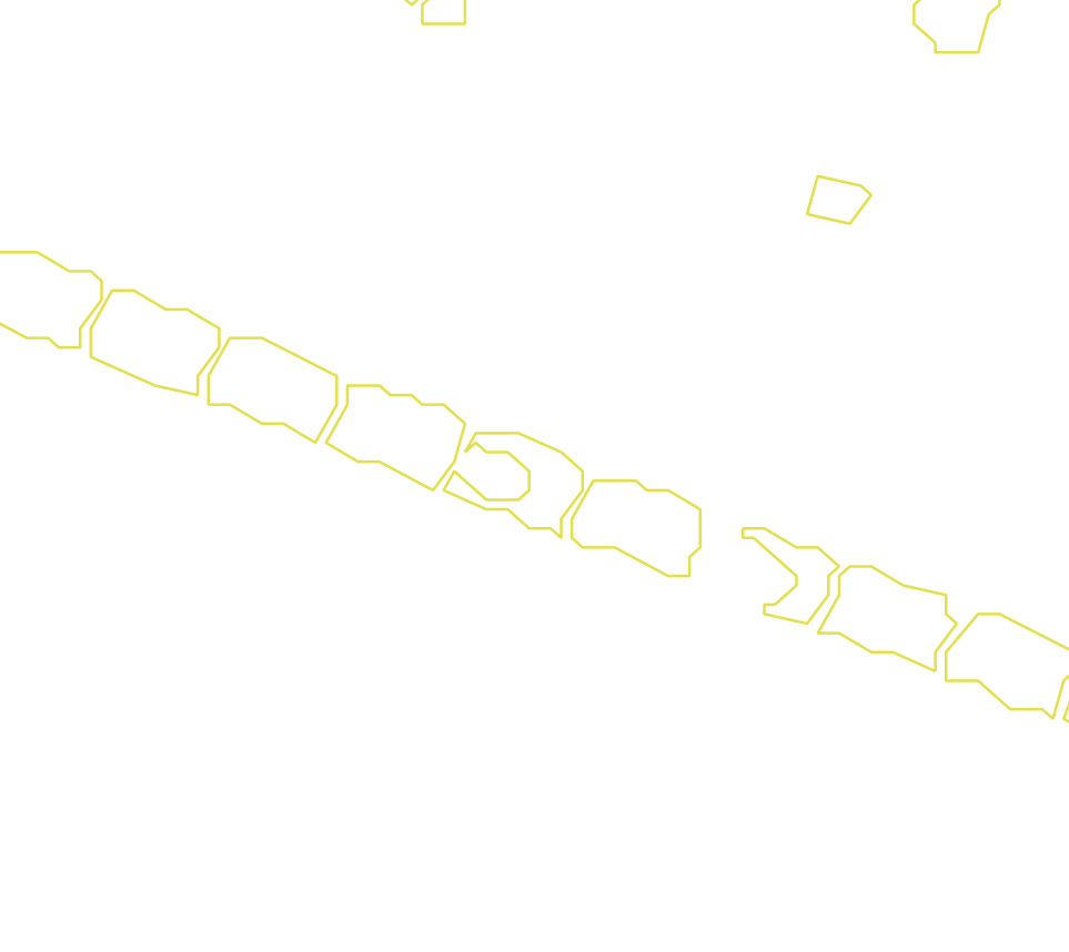 Daksegment met contourlijnen en structuurweergave