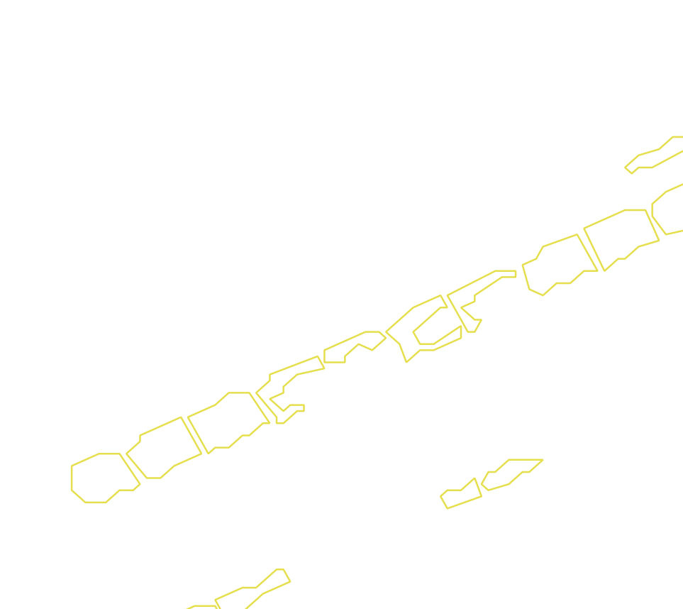 Daksegment met contourlijnen en structuurweergave