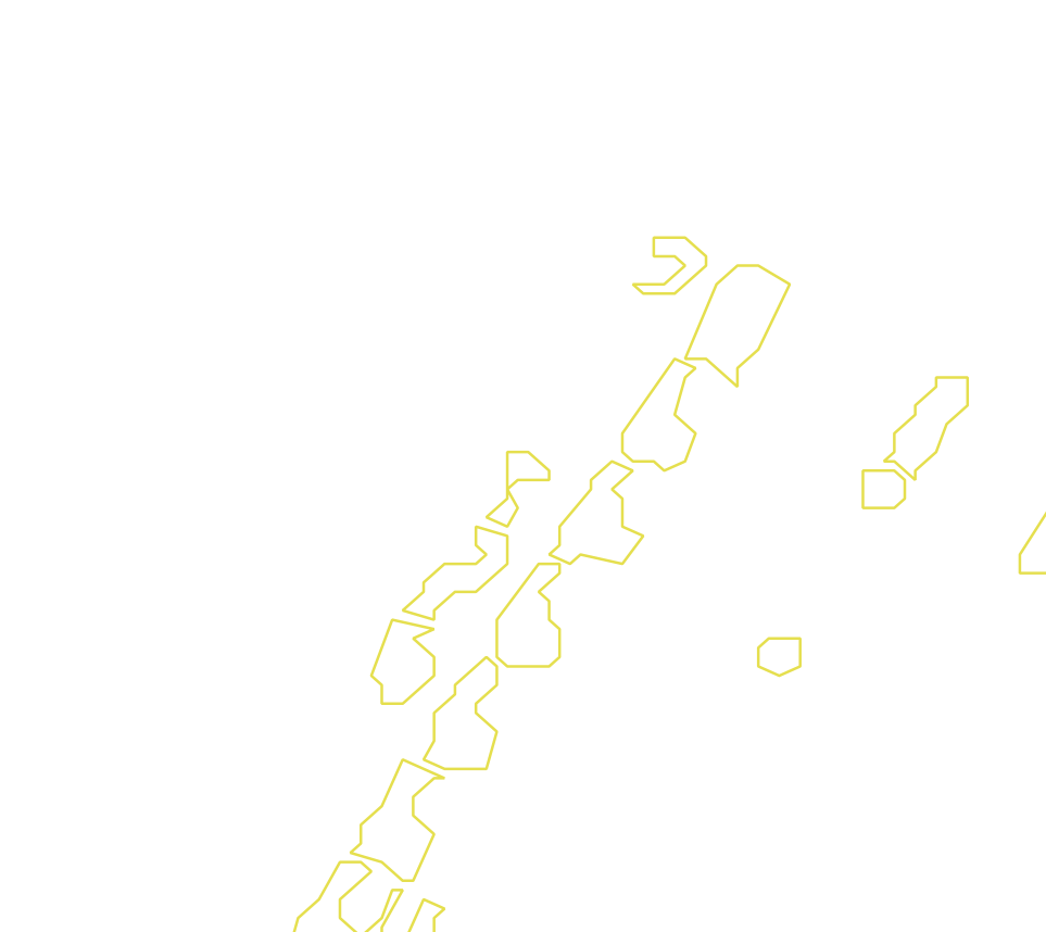 Daksegment met contourlijnen en structuurweergave
