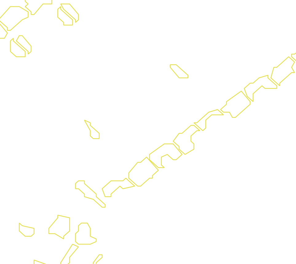 Daksegment met contourlijnen en structuurweergave