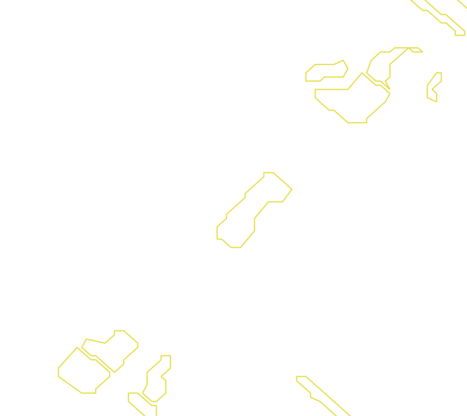 Daksegment met contourlijnen en structuurweergave