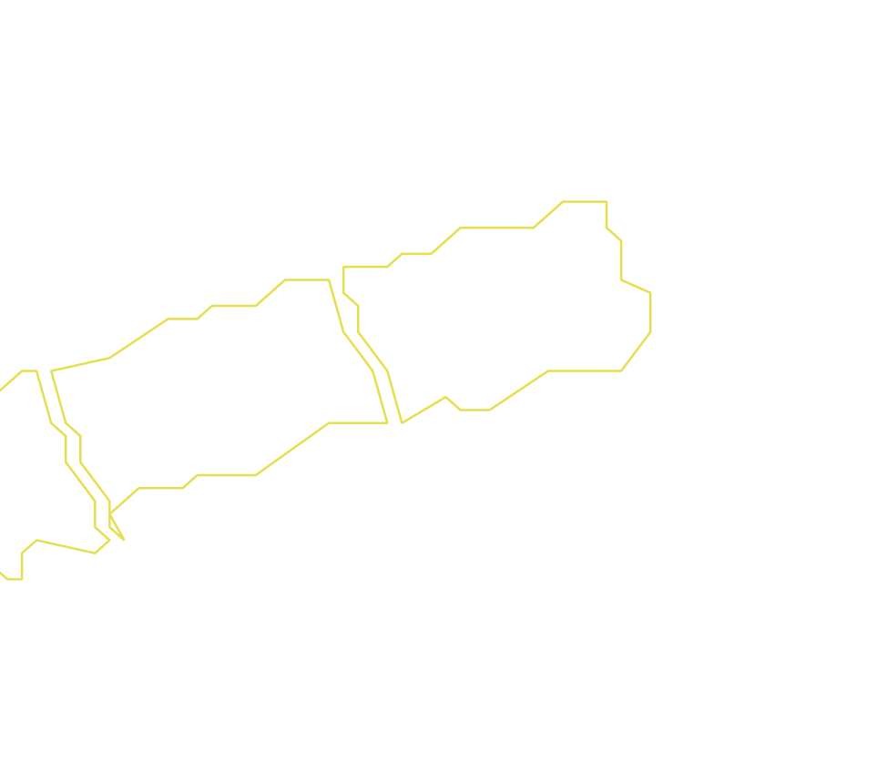 Daksegment ingezoomd met contourlijnen en structuurweergave