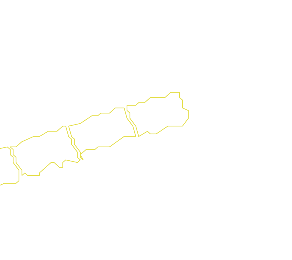 Daksegment met contourlijnen en structuurweergave