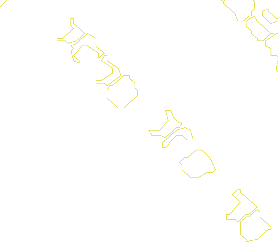Daksegment met contourlijnen en structuurweergave