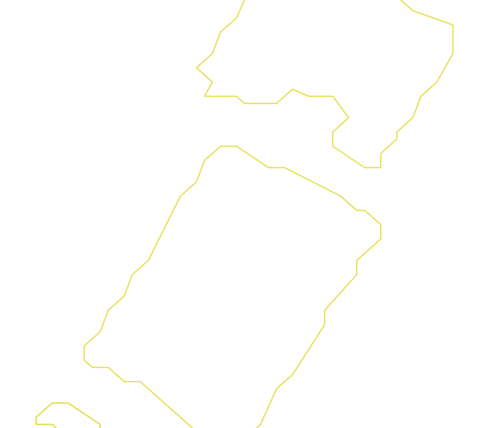Daksegment ingezoomd met contourlijnen en structuurweergave