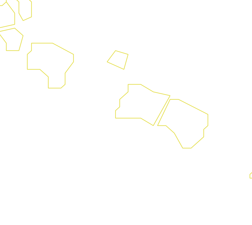 Daksegment ingezoomd met contourlijnen en structuurweergave