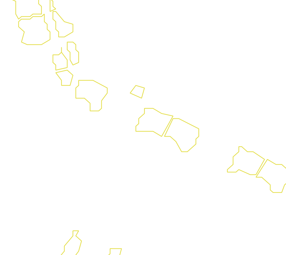 Daksegment met contourlijnen en structuurweergave