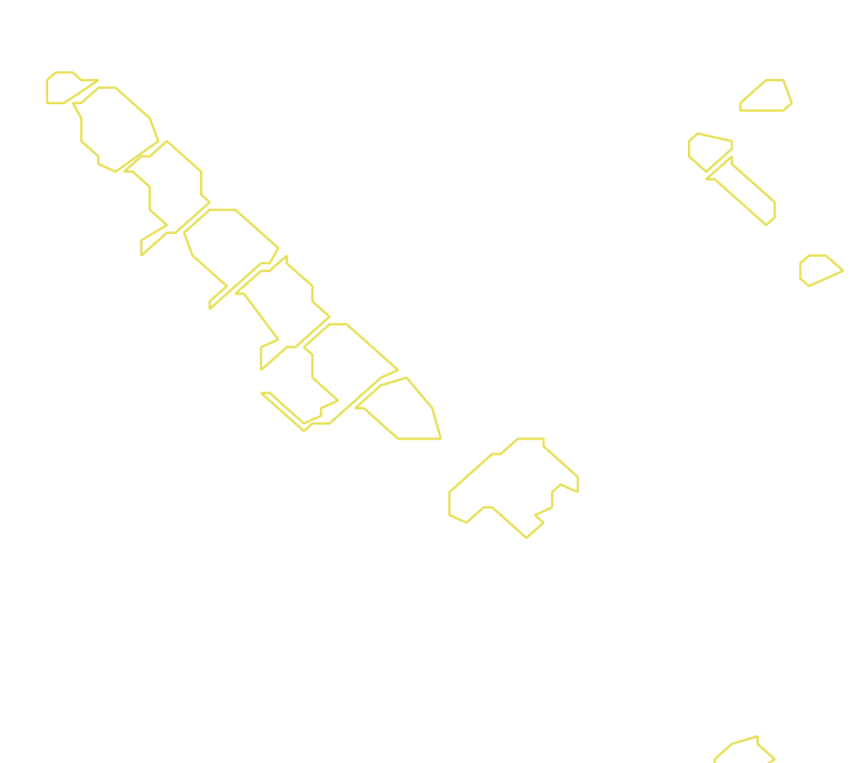 Daksegment met contourlijnen en structuurweergave