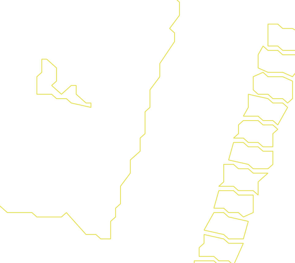 Daksegment ingezoomd met contourlijnen en structuurweergave