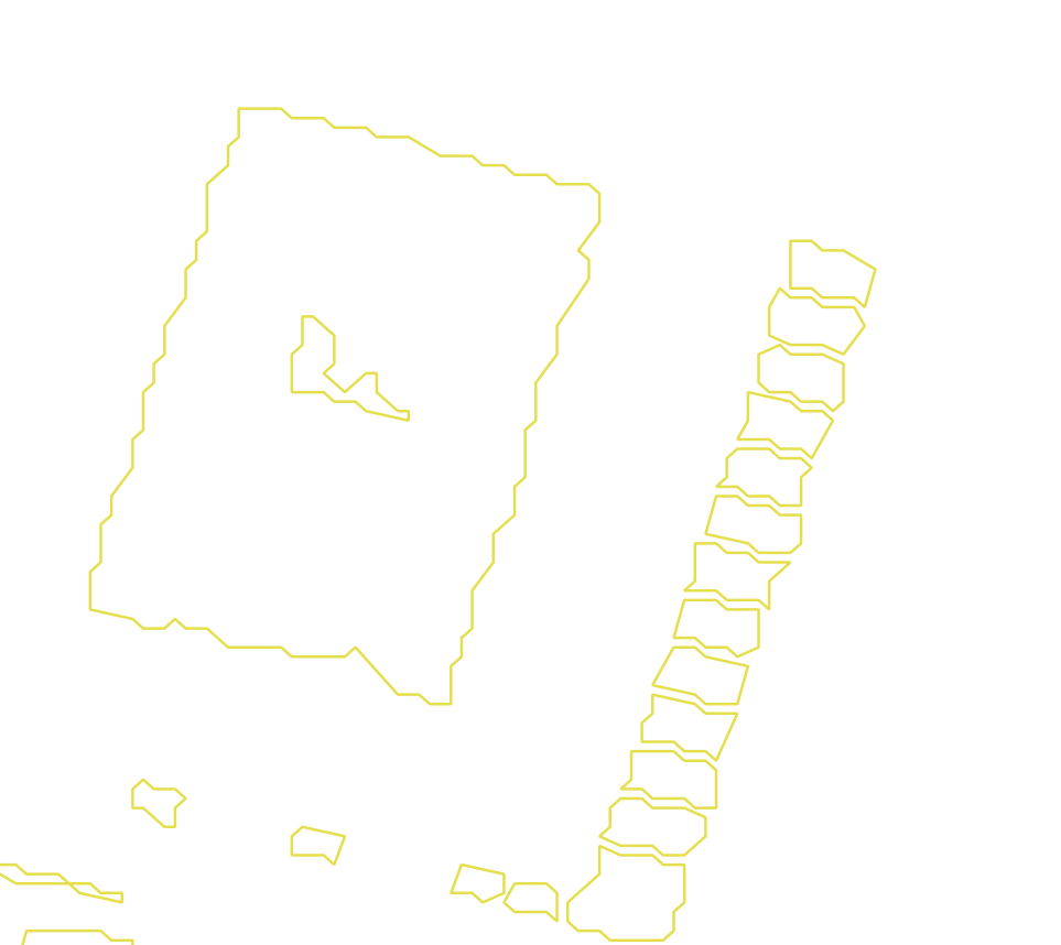 Daksegment met contourlijnen en structuurweergave