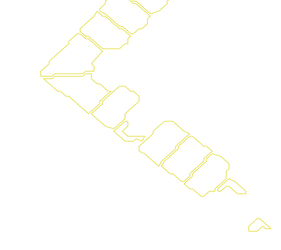 Daksegment met contourlijnen en structuurweergave