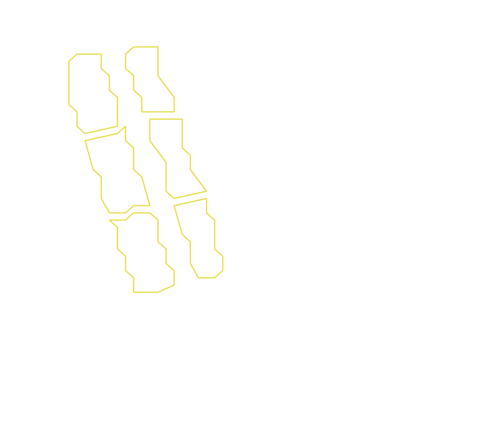 Daksegment ingezoomd met contourlijnen en structuurweergave
