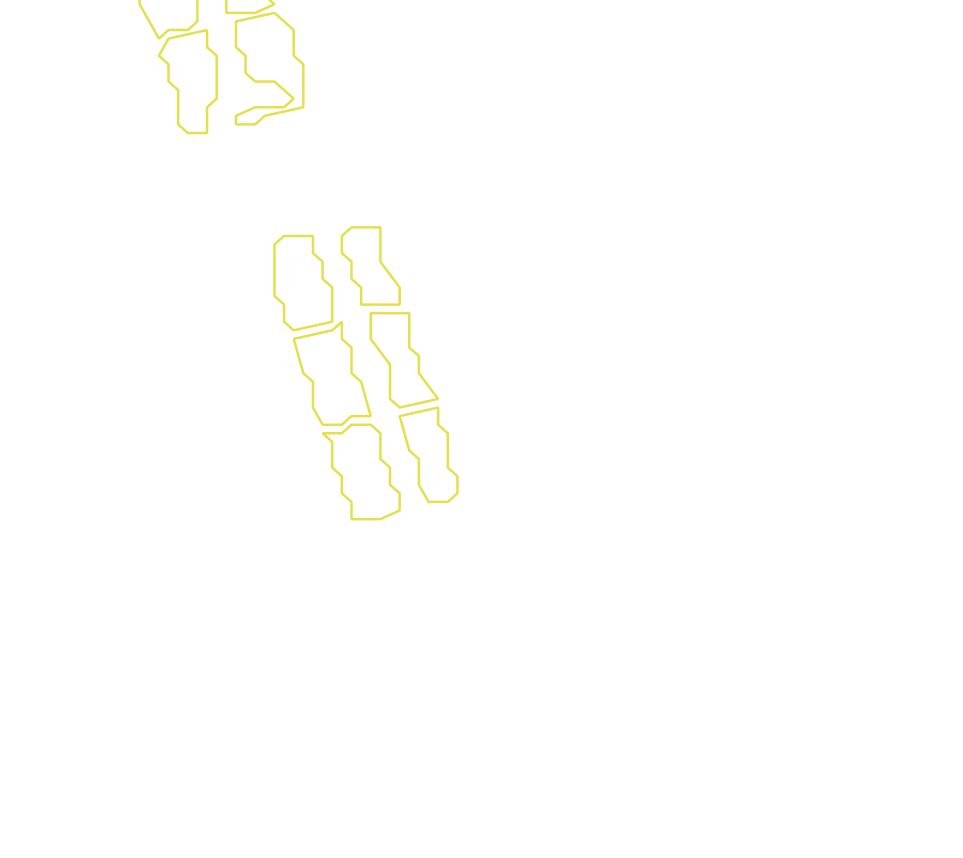 Daksegment met contourlijnen en structuurweergave