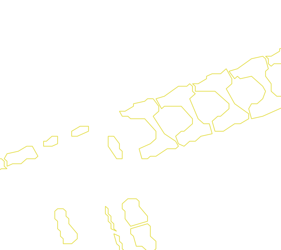Daksegment met contourlijnen en structuurweergave